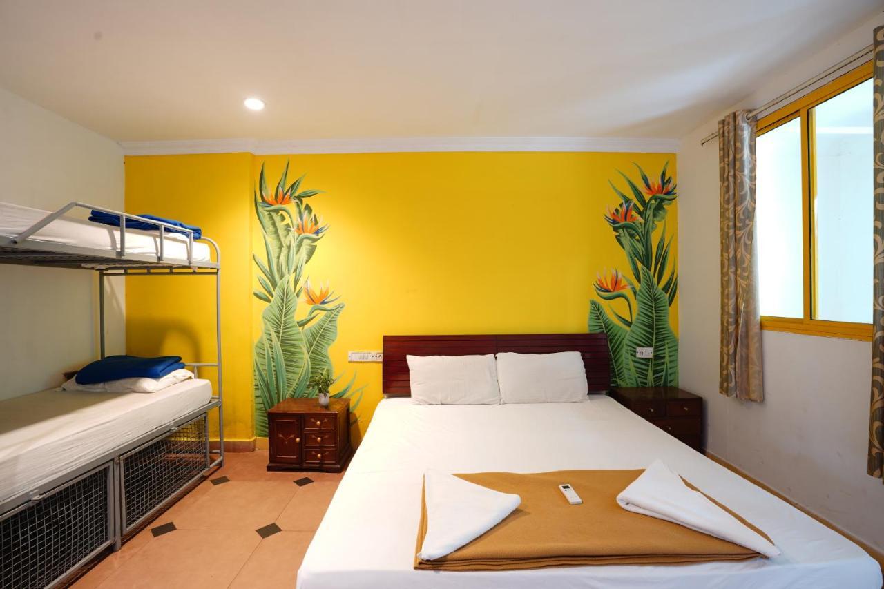Piggy Calangute By Urban Nomads - Dorms & Pvt Rooms GOA 部屋 写真