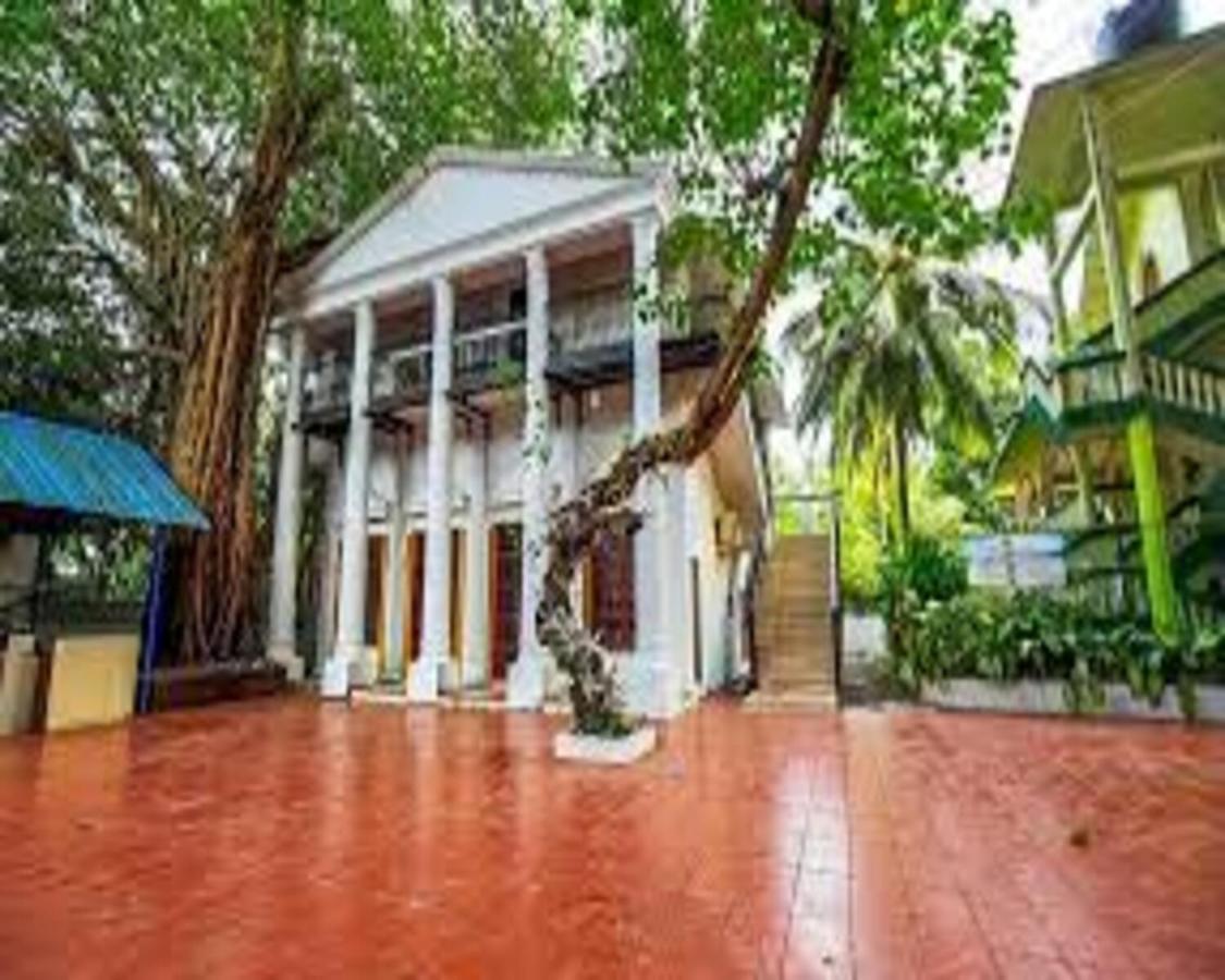 Piggy Calangute By Urban Nomads - Dorms & Pvt Rooms GOA エクステリア 写真