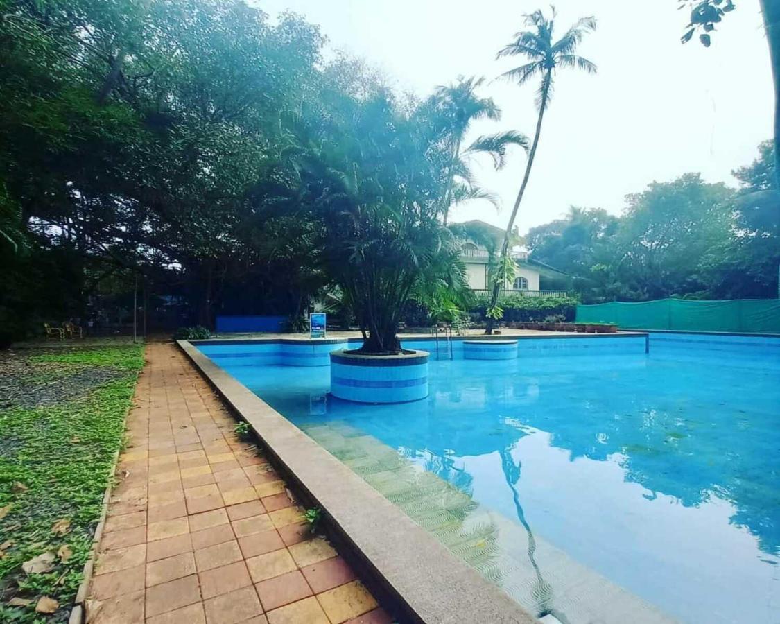 Piggy Calangute By Urban Nomads - Dorms & Pvt Rooms GOA エクステリア 写真